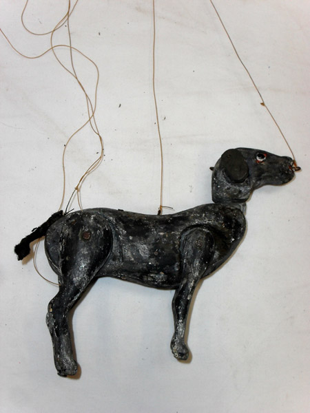 cane