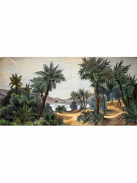Paesaggio con palme